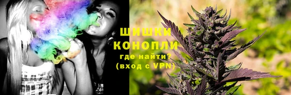 спиды Сосновка
